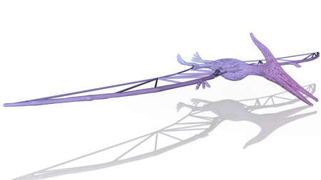 3d rendering of an artistic animal with reflection isolated on white backgroundの写真素材