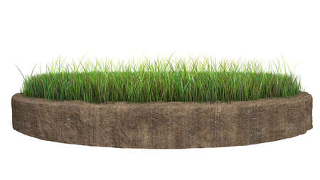 3d rendering of a grass patch isolated on a white backgroundの写真素材