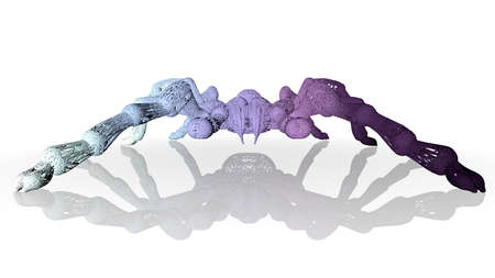 3d rendering of an artistic animal with reflection isolated on white backgroundの写真素材