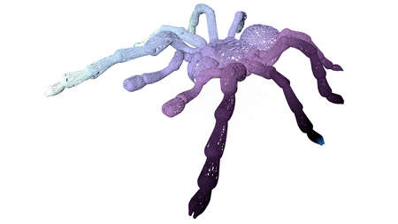 3d rendering of an artistic animal with reflection isolated on white backgroundの写真素材