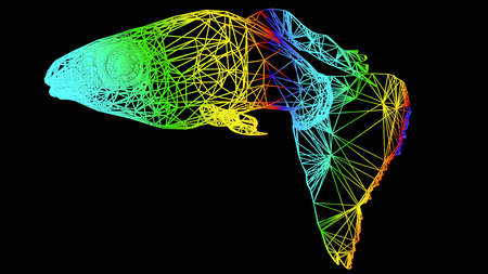 3d rendering of an artistic object made with colorful rope lines isolated on blackの写真素材