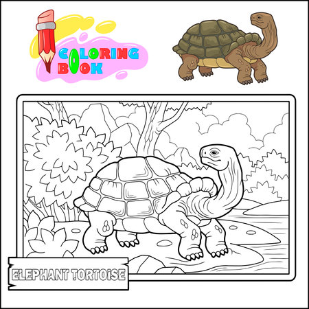 Elephant tortoise, outline illustration, coloring page for kidsのイラスト素材