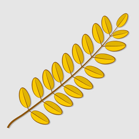 Acacia autumn leaf isolated on a white background. Flat design Vector illustrationのイラスト素材