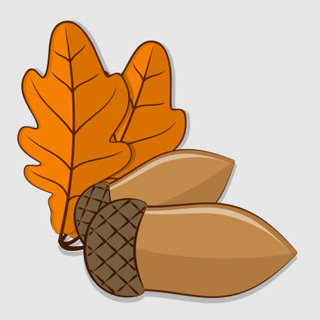 Acorn with leaves isolated on a white background. Flat design Vector illustrationのイラスト素材