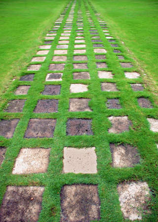 Garden green path foto taken in India Cochinの写真素材
