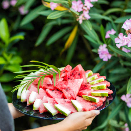Woman holding watermelon with green backgroundの写真素材