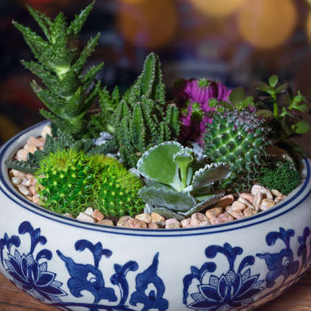 Beautiful terrarium with succulent, cactus, flower, rock, sand inside