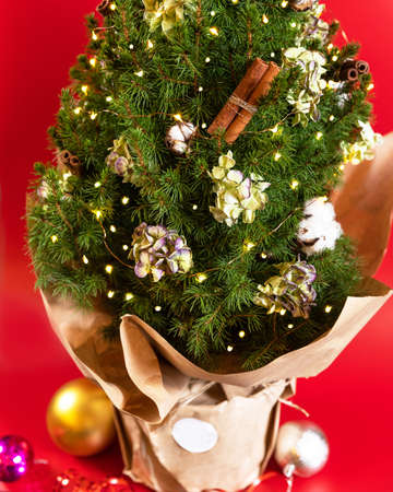 Christmas tree close up on red backgroundの写真素材