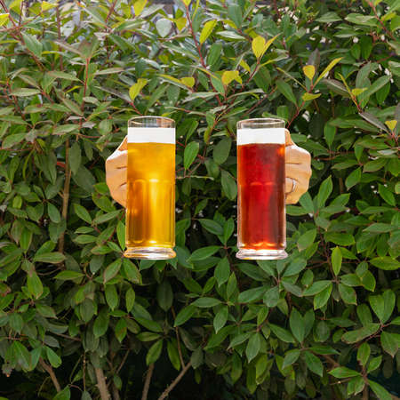 Man holding white and black beer side by side with green bush background