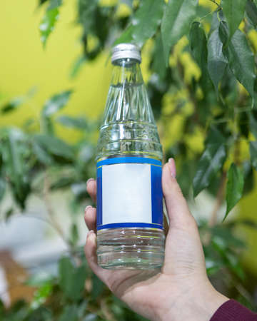 Holding a glass water bottle with green backgroundの写真素材