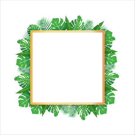 Tropical leaves around a white rectangle box copy space. Bright abstract background for banner, flyer or cover with copy space for text or emblemのイラスト素材