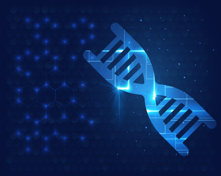 Human DNA molecule background. Science shining vector illustratorのイラスト素材
