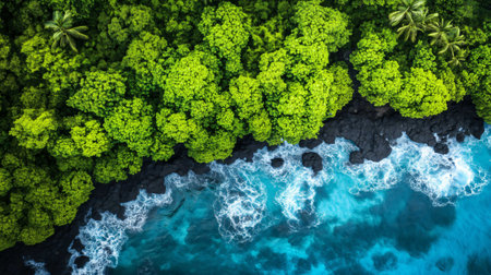 Aerial view of turquoise water crashing on volcanic black sand beach with lush green tropical forestの素材
