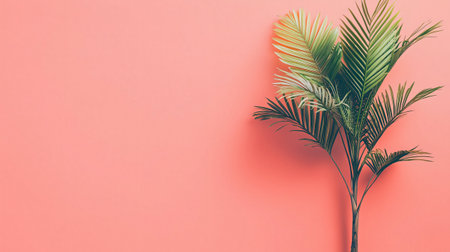 Green tropical palm leaves creating a stylish and minimalist composition on a pastel red backgroundの素材