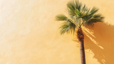 Green palm tree casting shadow on a vibrant orange wall, bathed in sunlight, creating a striking contrast and tropical ambianceの素材