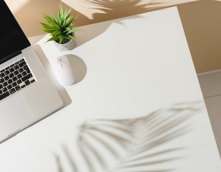 A clean workspace features a silver laptop and a small green plant in a pot. The shadows created by the plant and sunlight enhance the minimalistic aesthetic of the setting.の素材