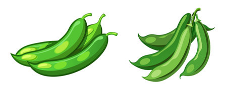 Fresh green beans on white background.のイラスト素材