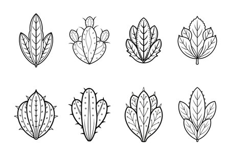 Collection of Black and White Cactus Illustrations.のイラスト素材