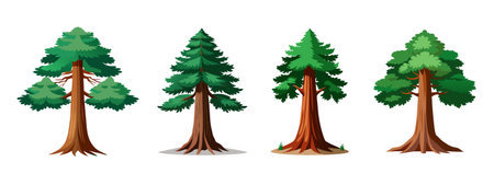 Four different cartoon drawings of tall sequoia trees on a white backgroundのイラスト素材
