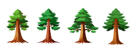 Four cartoon evergreen trees with green needles and brown trunks illustrationのイラスト素材