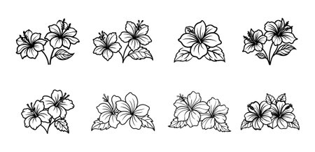Collection of eight various hibiscus flower designs in black and white outlineのイラスト素材