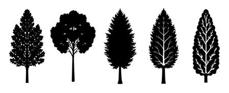 Silhouettes of trees on white background.のイラスト素材
