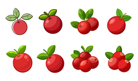 Set of Cranberry fruits icon, vector illustration on white background.のイラスト素材