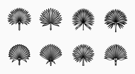 Set of eight different stylized hand drawn palmetto fan illustrationsのイラスト素材