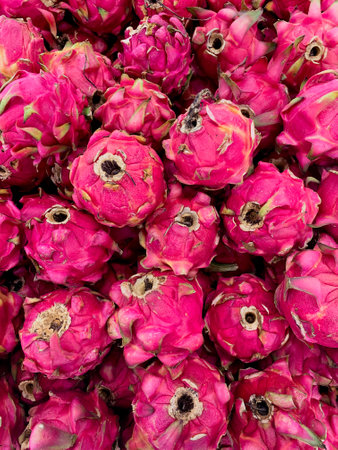 Stacked dragon fruit looks very freshの写真素材