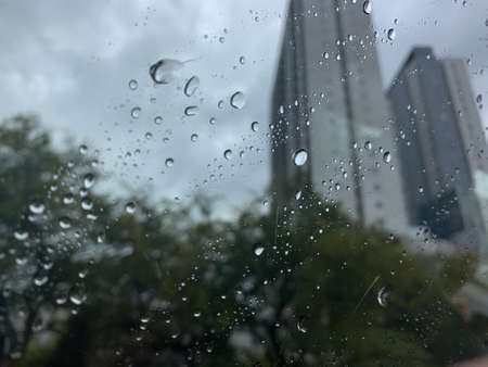 raindrops visible from inside the carの写真素材