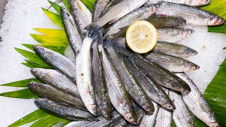 Fresh fish on ice cubes at the supermarket