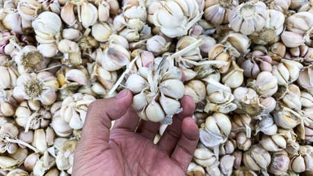 pile of carrots in supermarketの写真素材