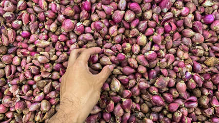 pile of onions in supermarketの写真素材