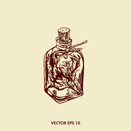 Herbs set, ginseng. Glass bottle with tincture. Vector vintage illustration for traditional medicine. pharmaceutical herbs.のイラスト素材