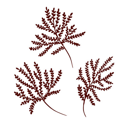 Vector set of leaves and branches of plants. Free hand drawing, black silhouette. Collection of botanical branches, leaves. Design elements for wedding invitations, greeting cards, floral banners.のイラスト素材