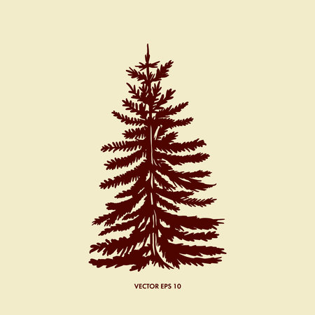 Vector illustration of a coniferous tree, spruce. One color image. An element of interior design, greeting cards, banners, can be used as a Christmas tree of book illustrations.のイラスト素材