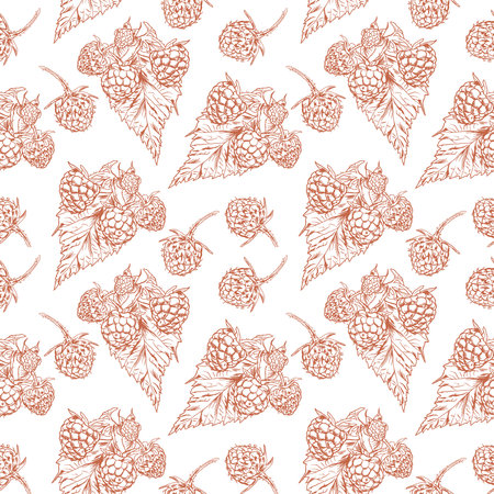 Berry and raspberry sprig. Vector seamless raspberry pattern in graphic style. Design element for wrapping paper, textiles, covers.のイラスト素材