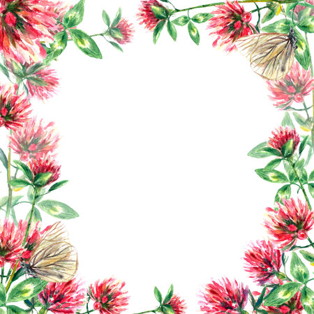 Square frame of clover flowers and butterflies. Watercolor illustration of frame isolated on white background. Greeting cards, wedding invitations.の写真素材