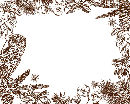 Christmas sale banner. Owl, fir branches, cotton. New Year card. Vector illustration for decor of winter sales, New Year cards, invitations, flyers, tickets, leaflets.のイラスト素材
