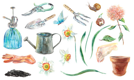 Garden set Watercolor illustration isolated on white background. Design element for cards, invitations, covers, gardening banners, posters, packaging, labels.の写真素材
