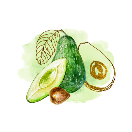 Avocado watercolor fruit, gold graphics leaves. Illustration on a watercolor stain background. Design element for birthday cards, wedding invitations, food labels, covers, cosmeticの写真素材