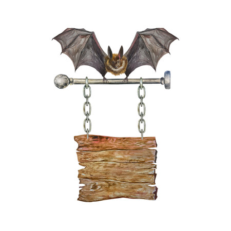 Bat with a wooden board. Hand drawn watercolor illustration isolated on white background. Template for text. For Halloween cards, invitations, banners, posters, covers.の写真素材