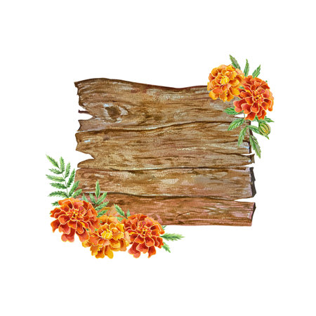 Wooden board decorated with marigold flowers. Hand drawn watercolor illustration isolated on white background. For Halloween and Day of the Dead cards, invitations, banners, flyersの写真素材