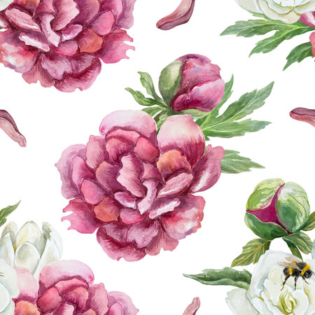 Peonies. Burgundy flowers, buds, petals and green leaves. Seamless floral pattern. Hand drawn watercolor illustration isolated on white. For textile, wrapping paper, fabric, covers, wallpaper.の写真素材