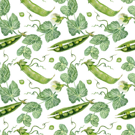 Peas seamless pattern. Pods, beans, flowers, leaves. Hand drawn watercolor illustration isolated on white. For wrapping paper, textile, covers, fabric, wallpaper, scrapbooking.の写真素材