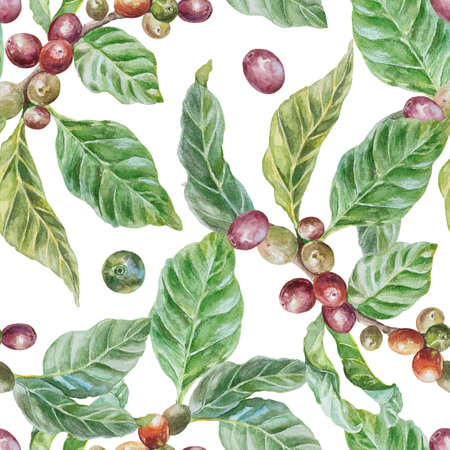 Coffee plant branches with green leaves and fruits seamless pattern. Hand drawn watercolor illustration isolated on white. For drink labels, wrapping paper, textile, covers, fabricの写真素材