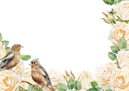 Roses and birds frame. Vintage pastel flowers. Hand drawn watercolor illustration isolated on white. For birthday cards, valentines day, mothers day, wedding invitations, posters, labels.の写真素材