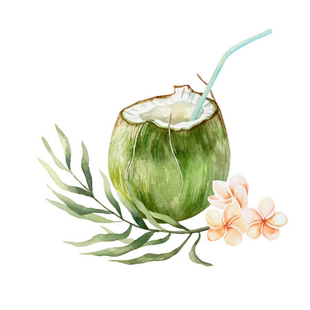 Coconut drink in green fruit with straw, plumeria flowers, palm branch. Watercolor illustration isolated on white. For postcards, invitations, tropical summer banners, menu, labels.の写真素材
