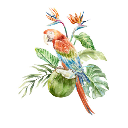 Macaw parrot, coconut drink in green nut, strelitzia, palm leaves. Hand drawn watercolor illustration isolated on white. For postcards, invitations, tropical summer banners, posters, labels.の写真素材