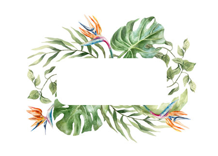 Tropical leaves frame with space for text. Plants strelitzia, monstera, palms. Hand drawn watercolor illustration isolated on white. Postcards, invitations, summer banners, covers, labels.の写真素材